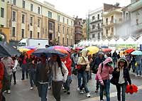 Sagra del Pistacchio 2009, la pioggia non ferma gli studenti
