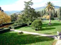 ... vi piantai palme, conifere, arbusti...