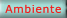 Ambiente